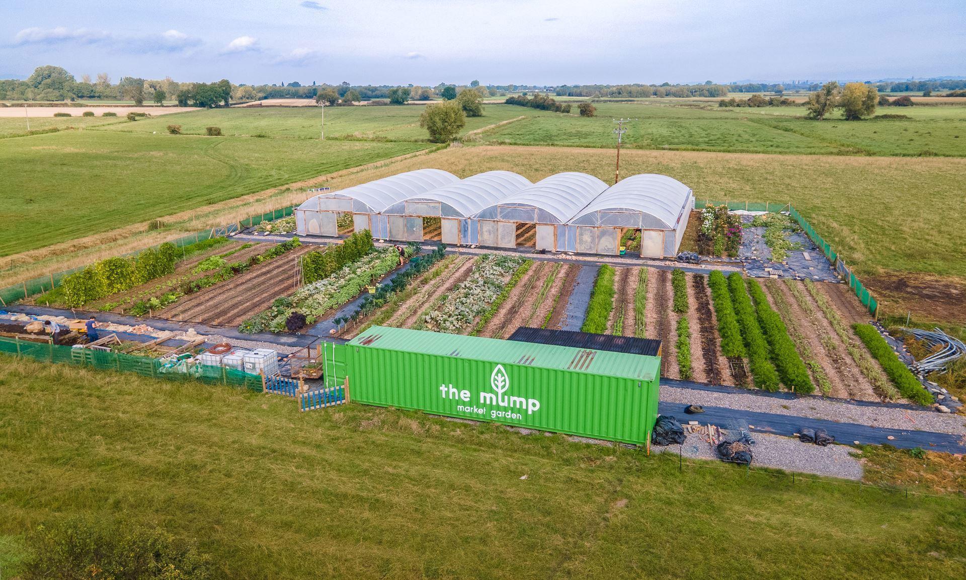 The Mump Market Garden Local Veg Delivery