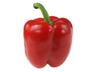 Bell Pepper: Red