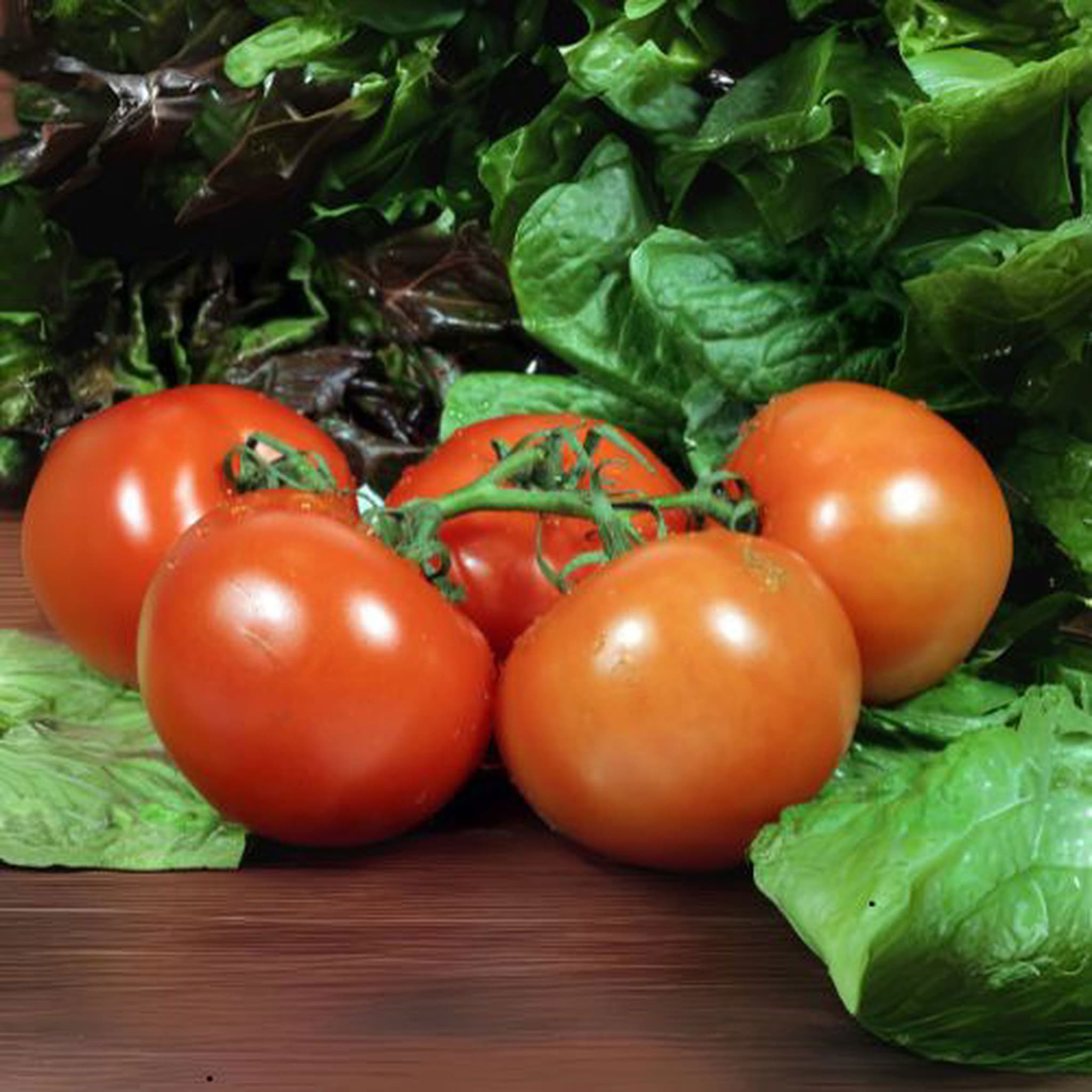 Salad Tomato