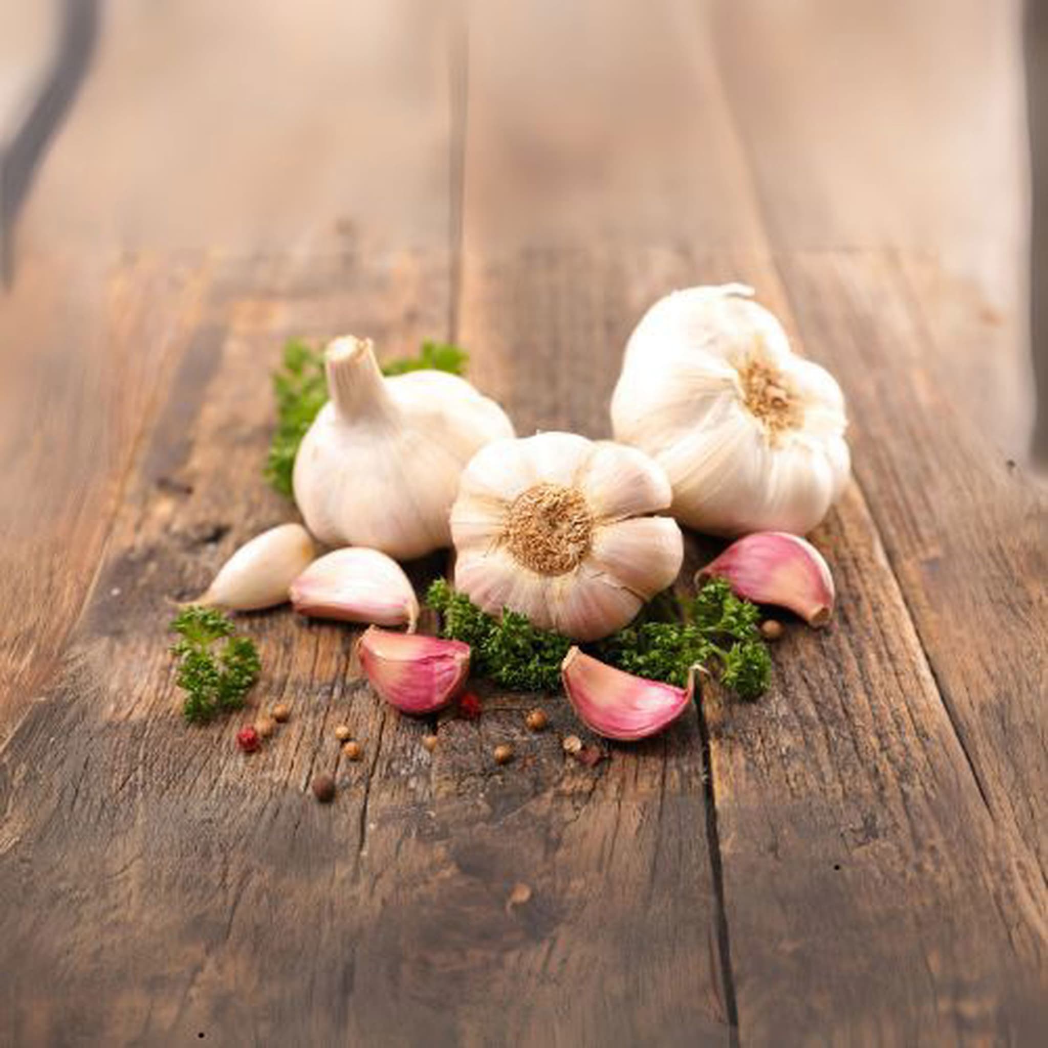 Garlic