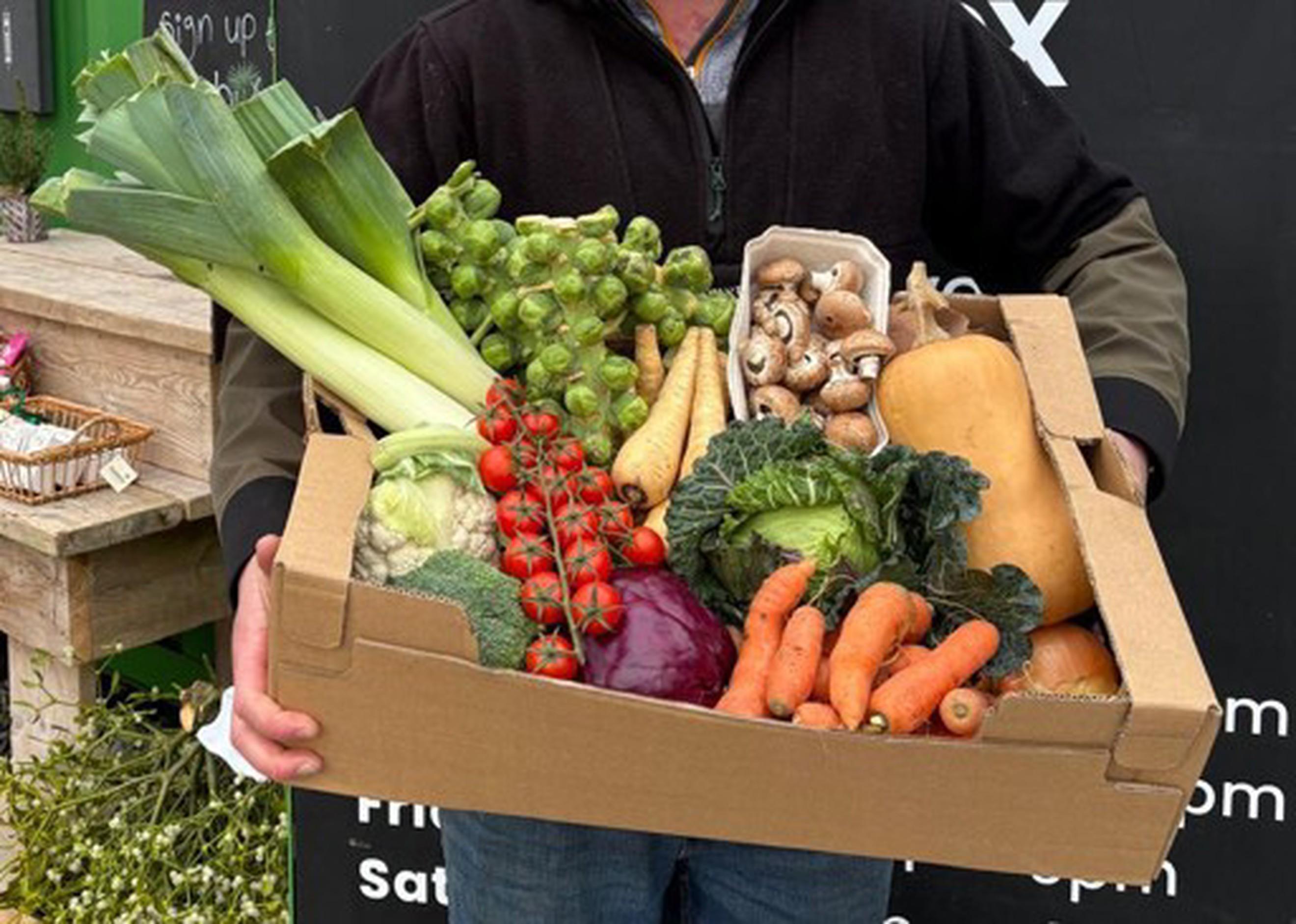 Image of the product