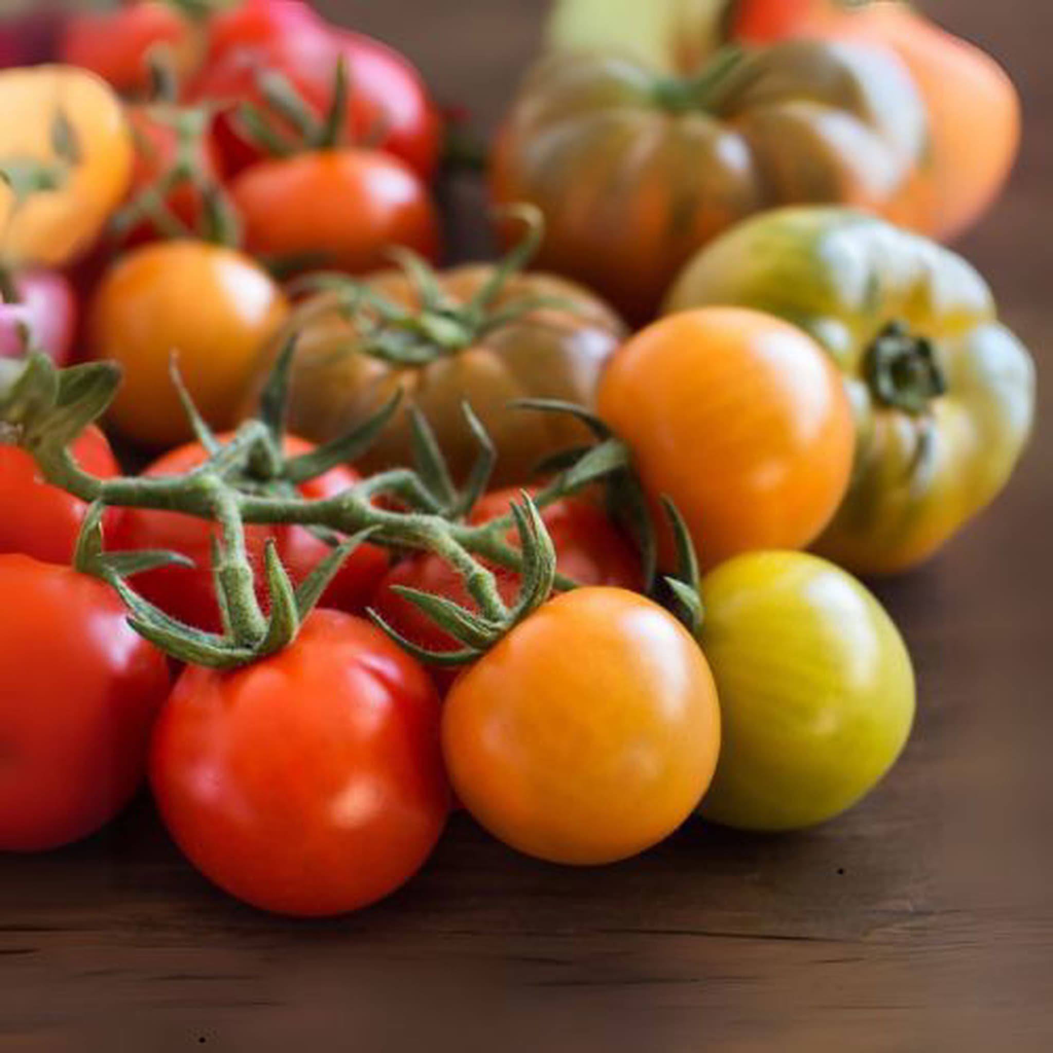 Mixed Cherry Tomatoes