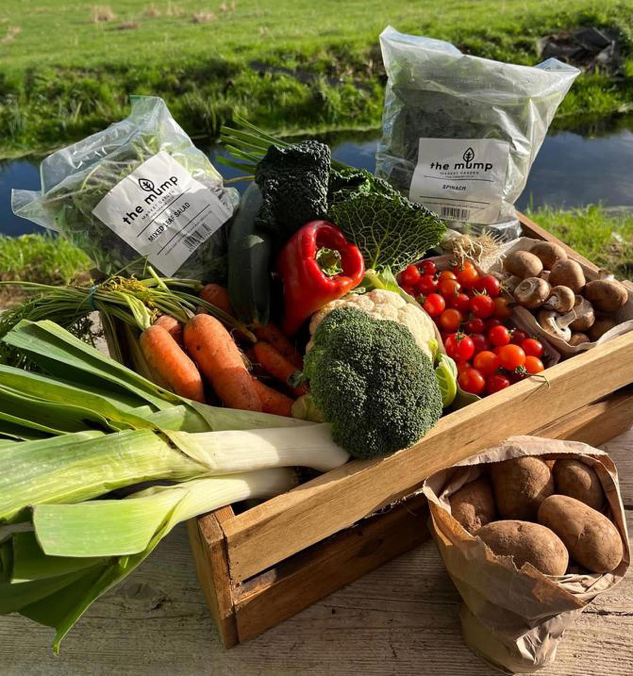 Build Your Own Veg Box