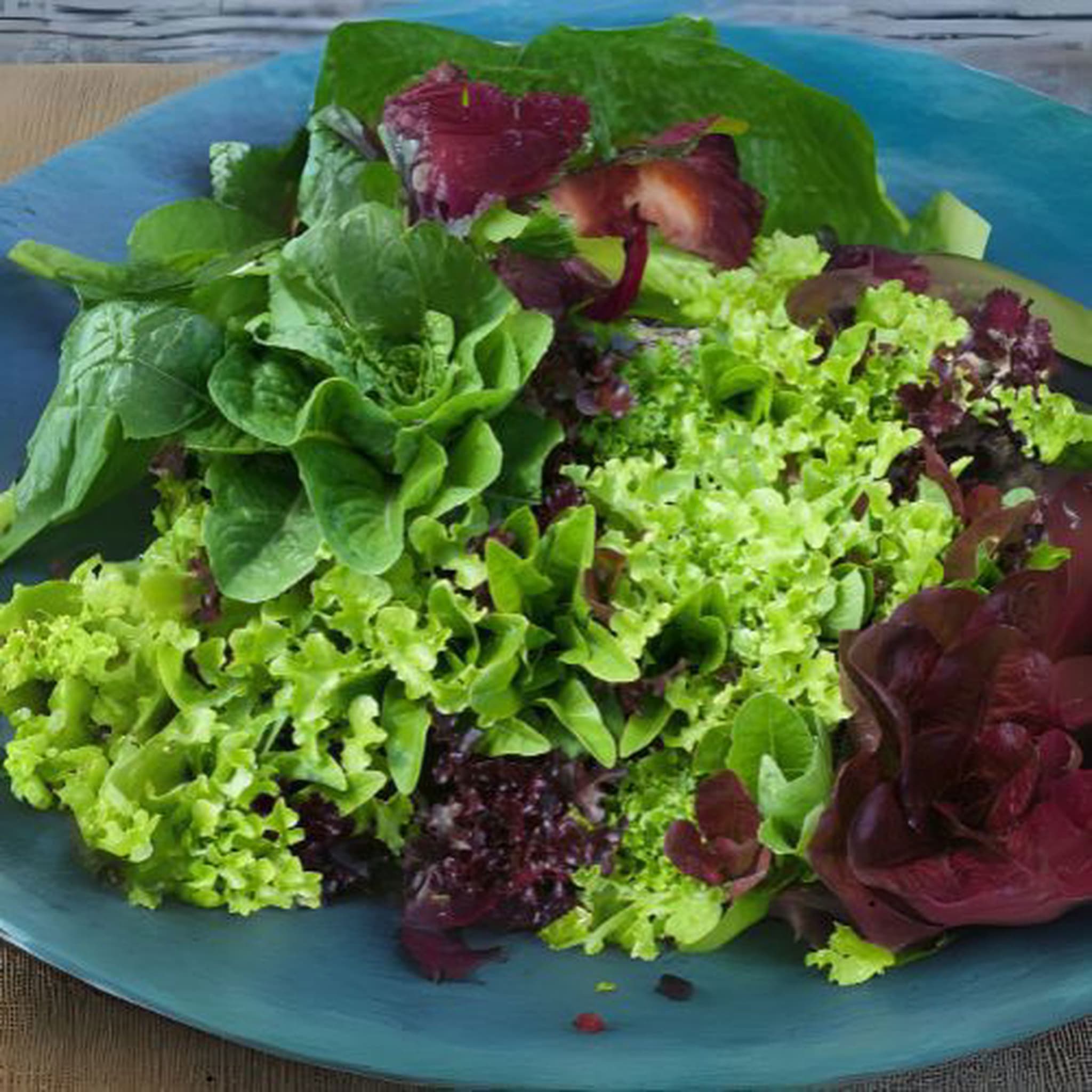 Mixed Salad Bags